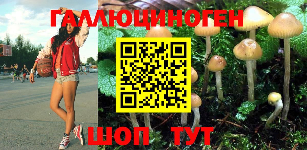 сколько стоит  Вход с VPN  Галлюциногенные грибы Psilocybe  Муравленко  Галлюциногенные грибы Psilocybe 